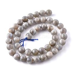 Chapelets de perles en labradorite naturelle &nbsp;X-G-G212-8mm-23