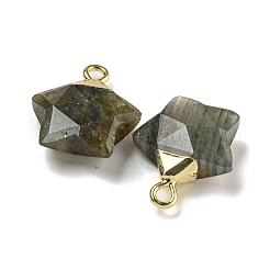 Natur Labradorit Anhänger&nbsp;G-P540-01G-06