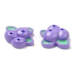 Cabochons de fruits en résine opaque&nbsp;RESI-G072-02A
