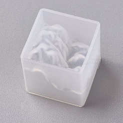Silikonformen&nbsp;DIY-WH0079-62