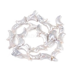 Perles de perles de keshi baroques naturelles&nbsp;PEAR-N020-P06-01B