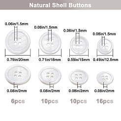 42 Stück 4 Stile 4-Loch natürliche Muschelknöpfe&nbsp;SHEL-BBC0001-16