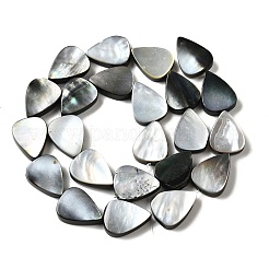Naturel noir à lèvres shell perles brins&nbsp;BSHE-D300-04C