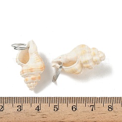 Natürliche Spirale Shell Anhänger&nbsp;SHEL-K006-68C
