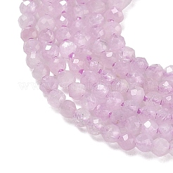 Naturperlen Stränge kunzite&nbsp;GG-CBA5A1A-A08-02