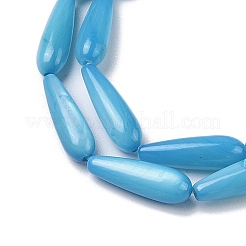 Naturali di acqua dolce perline shell fili&nbsp;SHEL-A004-03C