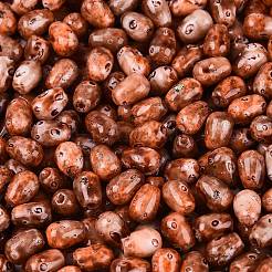 Picasso-Glasperlen&nbsp;SEED-N012-10E