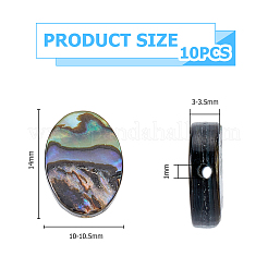10 Stück natürliche Paua-Muschelperlen&nbsp;SSHEL-FI0001-04