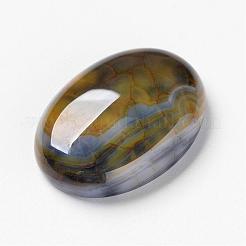 Natürliche Drachen Adern cabochons&nbsp;G-F296-05-18x25mm