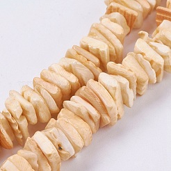 Cuentas de concha de mar natural hebras&nbsp;BSHE-K012-08