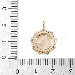 Messing Anhänger & Charms&nbsp;LS-KK-L246-05G