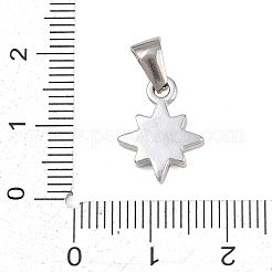 Strassanhänger aus Edelstahl 303&nbsp;STAS-K325-23A-P