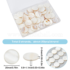 2 Strang natürliche Süßwasser-Muschelperlen&nbsp;BSHE-SC0001-20B