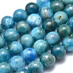 Perline apatite naturale fili&nbsp;G-O186-E02-6mm