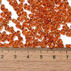Spruzzare perline di vetro dipinte&nbsp;SEED-F005-05A-03
