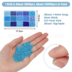 225 g 17 Stile Glasperlen&nbsp;SEED-DC0001-02B