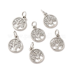 Charms in ottone&nbsp;KK-Q403-01P