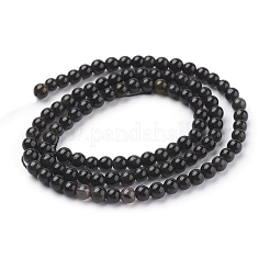 Natürlichen Obsidian runden Perlen Stränge&nbsp;G-G735-19-4mm