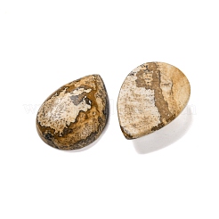 Natur Bildjaspisses cabochons&nbsp;G-B085-03B-10