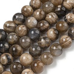 Naturelles perles de pierre de lune noir brins&nbsp;G-Q183-A01-02
