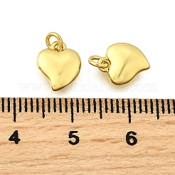 Messing Anhänger & Charms&nbsp;KK-I275-10G-03