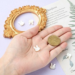 5 Stück natürliche weiße Muschelperlen&nbsp;BSHE-CJ0001-06