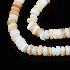 Natürlichen Süßwasser-Muschelperlen Stränge&nbsp;SHEL-S278-067G
