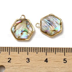 Sechseck-Charms aus natürlichem Paua-Muschelharz&nbsp;KK-F865-22G