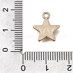 Legierung mit Emaille-Anhängern&nbsp;AL-CBA2F44-03G-04