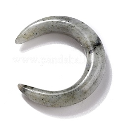 Natur Labradorit Perlen&nbsp;G-J366-16