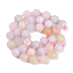 Naturperlen Stränge morganite&nbsp;G-B125-O08-01