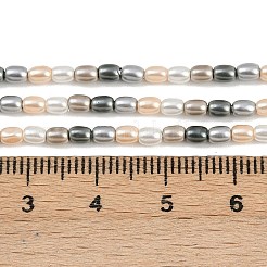 Fili di perle di conchiglie galvanizzate&nbsp;BSHE-H113-06A-03