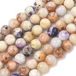 Natürliche lila Opal Perlen Stränge&nbsp;G-L642-B21-8mm