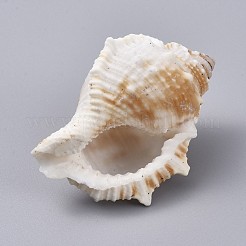 Große natürliche Muschelschalen&nbsp;DJEW-WH0007-11A