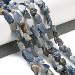 Natürliche kyanite Perlen Stränge&nbsp;G-P497-01C-60