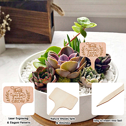 30 étiquette de plante en bois&nbsp;DIY-GF0014-19A