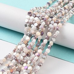 Perles en verre electroplate&nbsp;X-EGLA-P056-01E