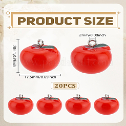 20pcs Acrylanhänger&nbsp;OACR-LP0001-14