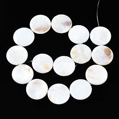 Hebras naturales de cuentas de concha de agua dulce&nbsp;SHEL-Q024-006