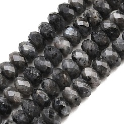Natürliche Larvikit-Perlenstränge&nbsp;G-C259-A45-5x8mm