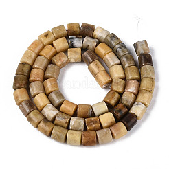 Brins de perles de jade huanglong naturel&nbsp;G-T141-83A