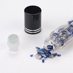 Bottiglie a sfera di vetro&nbsp;LS-AJEW-P073-A12