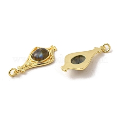 Natur Labradorit Anhänger&nbsp;G-C096-03G-01