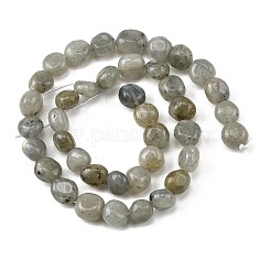 Chapelets de perles en labradorite naturelle &nbsp;G-P623-A03-02