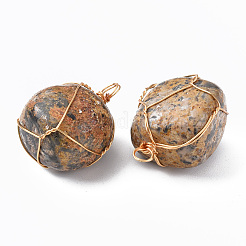 Colgantes de jaspe de piel de leopardo natural&nbsp;G-N332-50-02