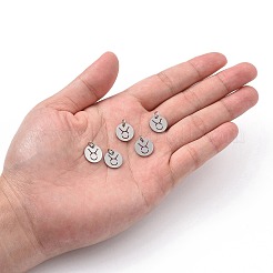 Breloques en acier inoxydable 304 anti-ternissement&nbsp;STAS-Q201-T445-2S
