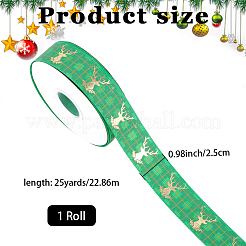 1 Rolle Polyesterbänder&nbsp;SRIB-CY0001-30