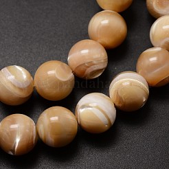 Naturali di mare shell perle fili&nbsp;SSHEL-K013-12mm-B