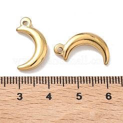 Pendentifs en acier inoxydable 304&nbsp;STAS-Z184-31G