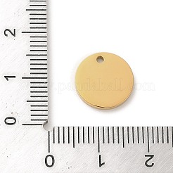 Pendentifs en acier inoxydable 304 avec placage ionique (IP)&nbsp;STAS-K270-33G